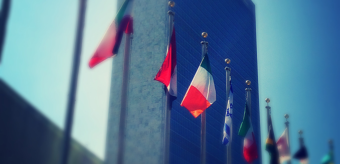 Irish flag, UN
