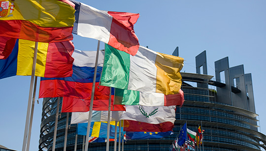 FLAGS-European-Parliament-Strasbourg